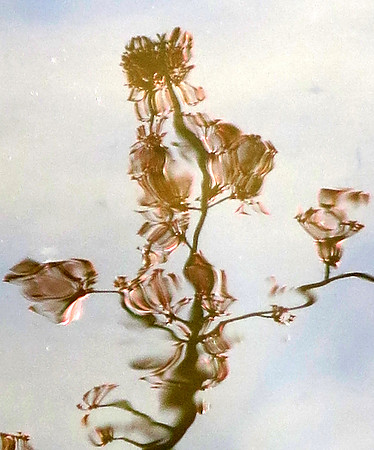 438p 4 02 2023