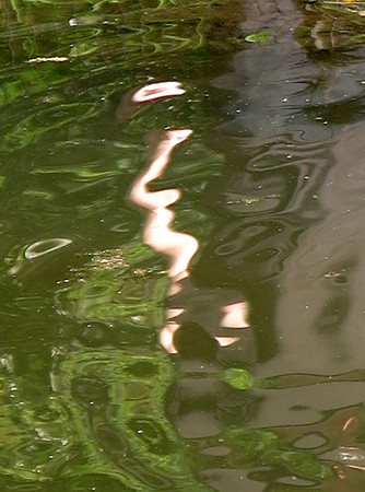 607 5 10 2023