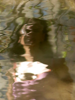 258 4 13 2023