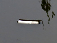 552zp 9 30 2023