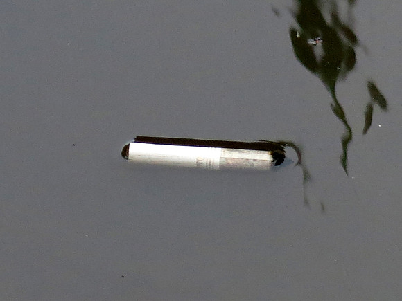 552zp 9 30 2023