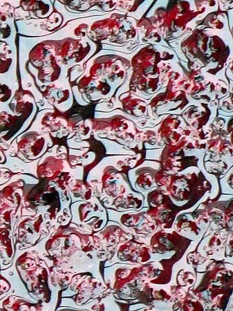 IMG_3046 haze rot 9 10 2025