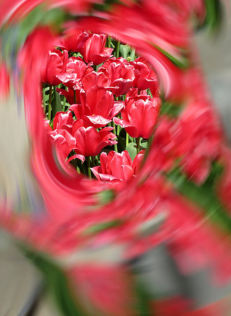 595p 4 26 2023