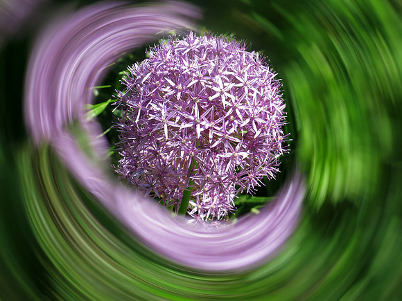 096p 5 21 2023