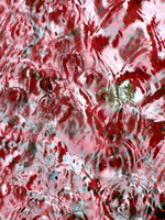 364p 6 19 2023