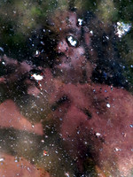314 5 19 2023