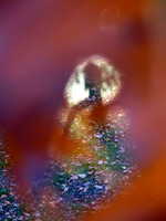 353zp 11 07 2022