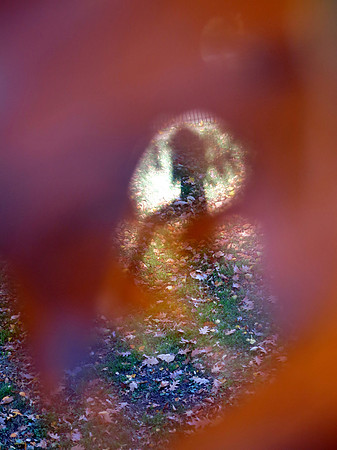 353zp 11 07 2022