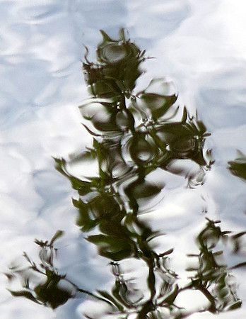 530p 4 15 2023