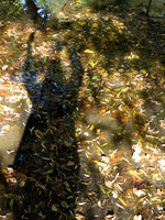 IMG_8464 con Oct 25 2026