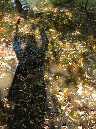 IMG_8464 con Oct 25 2026