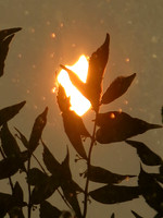 168p 6 07 2023