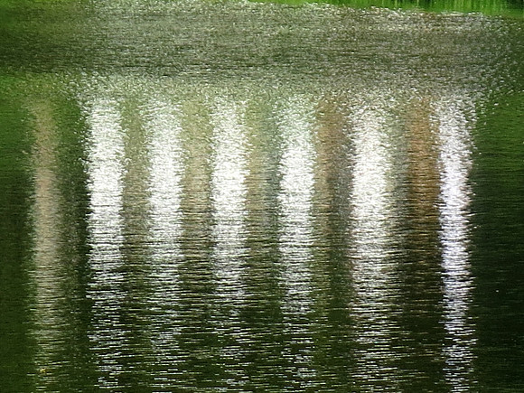 116z 5 27 2023