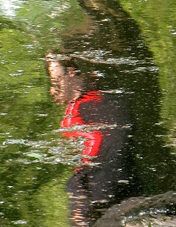 118p 6 19 2023