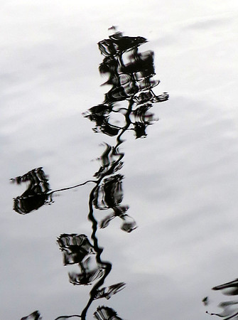 1355p 3 29 2023