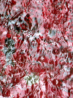 367p 6 19 2025
