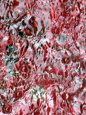 367p 6 19 2025