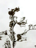 1049p 4 07 2023