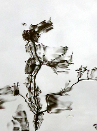 1049p 4 07 2023