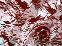 303p 6 19 2025