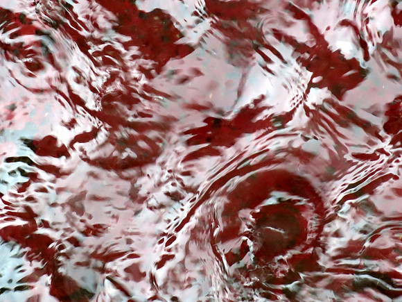 303p 6 19 2025