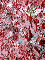 365p 6 19 2025
