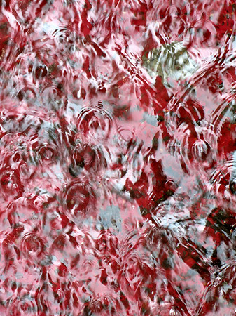 365p 6 19 2025