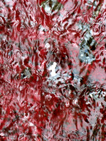 382p 6 19 2025
