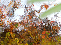 012t 11 13 2023
