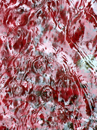 362p 6 19 2025