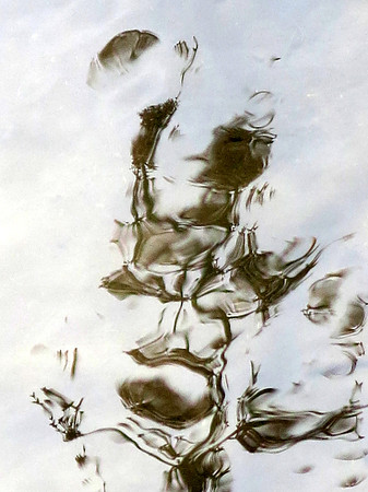 081z 4 11 2023