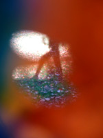 334tt 11 07 2022