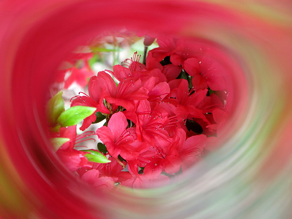 1059p 4 21 2024