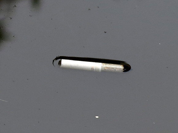 535zp 9 30 2023