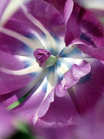 052p 4 29 2024