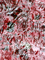 370ppp 6 19 2025