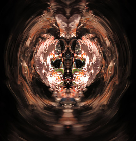 239p