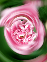 046 5 04 2024