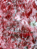 362zpp 6 19 2025