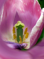 019p 5 03 2024