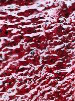 020zp 8 24 2023
