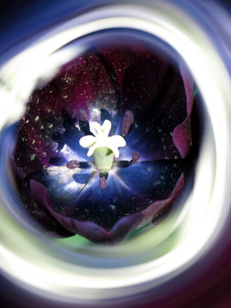 465p 5 02 2024