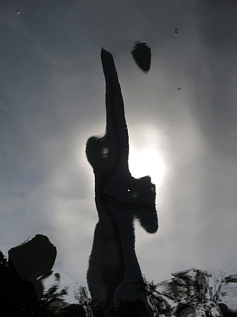 251p 5 16 2023