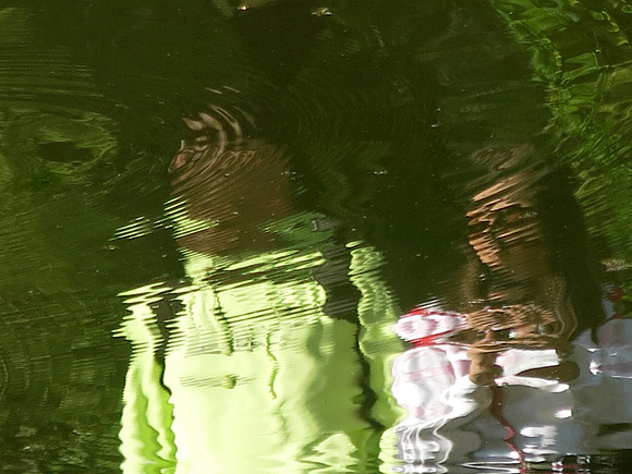 229p 5 10 2023