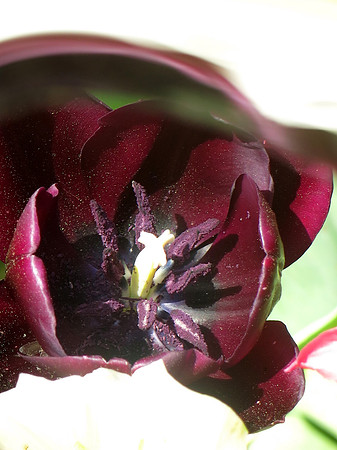 941p 4 29 2024