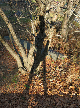 825t 12 22 2021