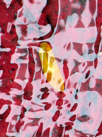 443p 9 24 2023