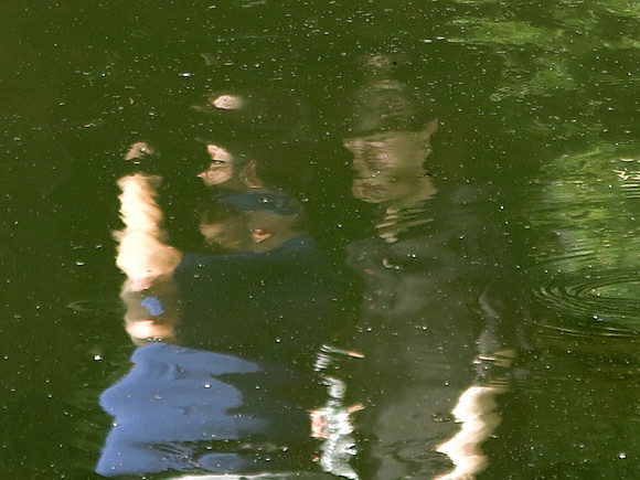 233 cl