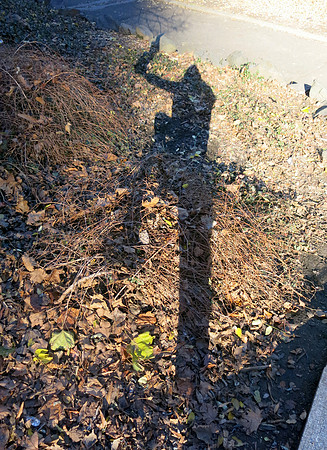 187u 12 13 2021