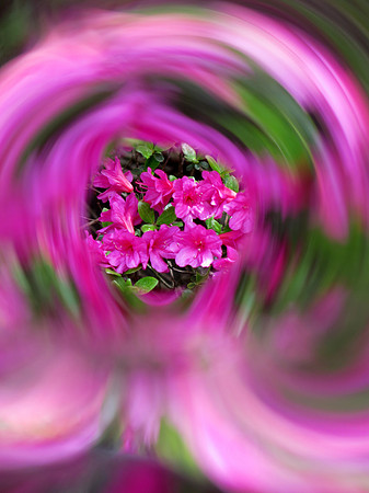 574p 4 28 2024